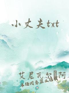 小丈夫txt