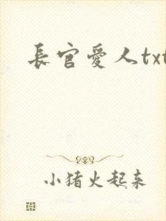 长官爱人txt