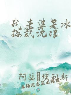 我老婆是冰山女总裁沈浪