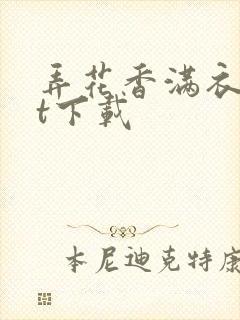弄花香满衣txt下载