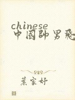 chinese中国帅男飞机