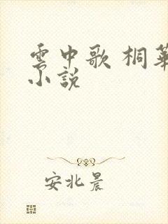 云中歌 桐华 小说