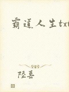 霸道人生txt