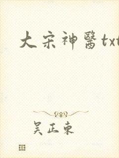 大宋神医txt