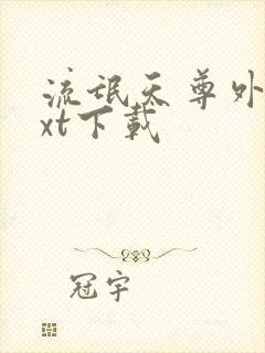 流氓天尊外传txt下载