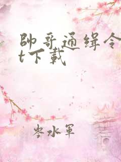 帅哥通缉令txt下载