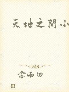 天地之间小说