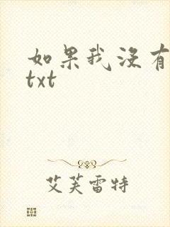 如果我没有爱过txt