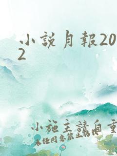 小说月报2012