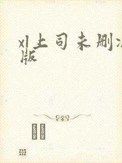 xl上司未删减版