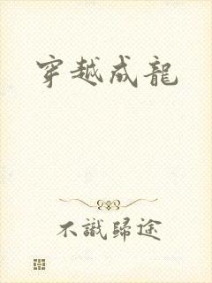 穿越成龙