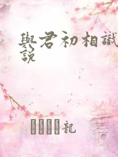 与君初相识 小说