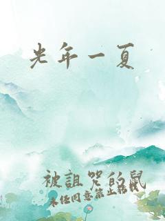 光年一夏