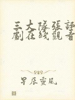 三大队张译电视剧在线观看免费