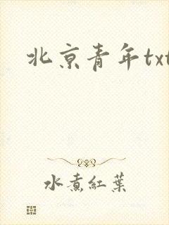 北京青年txt