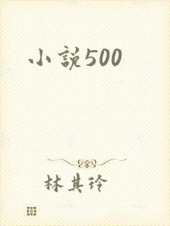 小说500