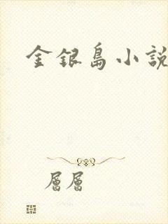 金银岛小说