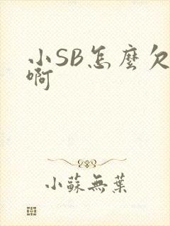 小SB怎么欠C啊