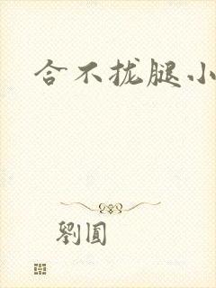 合不拢腿小说