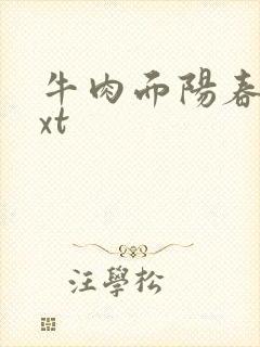 牛肉面阳春面txt