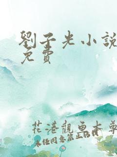 刘子光小说全文免费