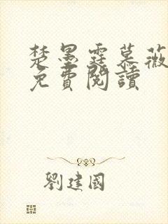 楚墨霆慕薇小说免费阅读