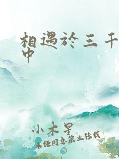 相遇于三千肉文中