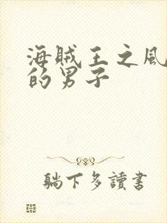 海贼王之风一样的男子