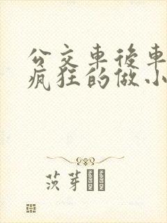 公交车后车座的疯狂的做小