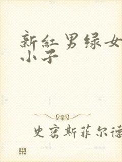 新红男绿女之坏小子