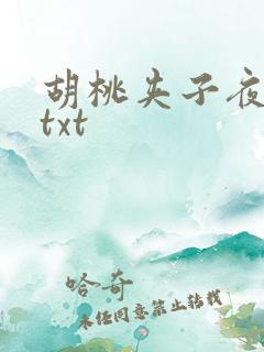 胡桃夹子夜未眠txt