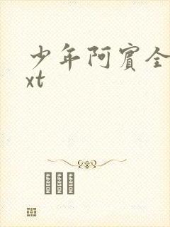 少年阿宾全集txt