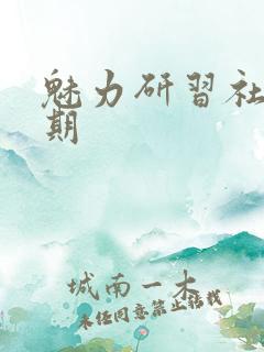 魅力研习社43期