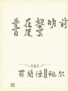 爱在黎明前降落百度云