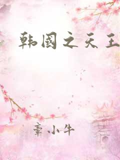 韩国之天王