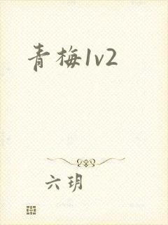 青梅1v2