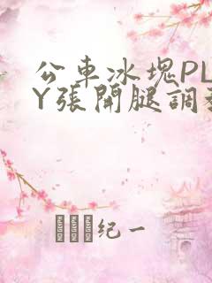 公车冰块PLAY张开腿调教