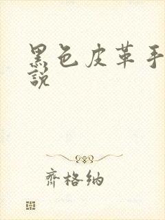 黑色皮革手册小说