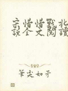 宋惜惜战北望小说全文阅读