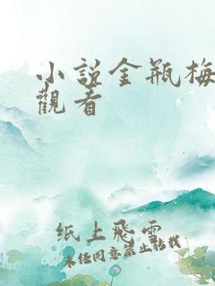 小说金瓶梅在线观看