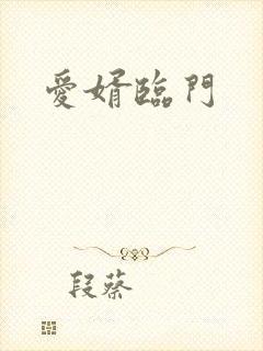 爱婿临门