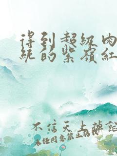 得到超级肉禽系统的紫岭红山