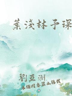 叶浅林予琛小说