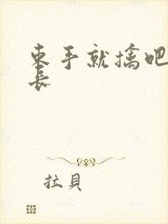 束手就擒吧韩队长