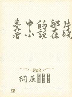 梦中的那片海原著小说在线阅读