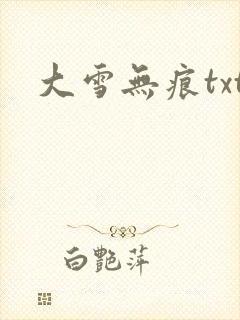 大雪无痕txt