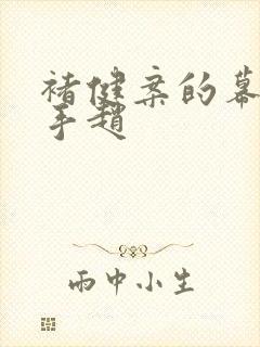 褚健案的幕后黑手赵