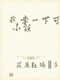 我尝一下可以吗 小说