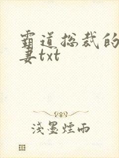 霸道总裁的挂名妻txt