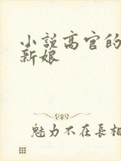 小说高官的暗夜新娘